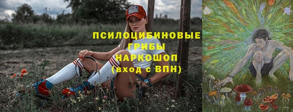 СК Абаза