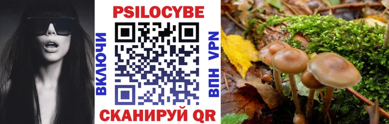 omg ссылки  хочу   Шумерля  Псилоцибиновые грибы ЛСД 